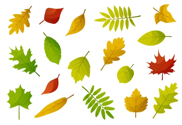 Der Herbst Geht Unter Gelbe Blattsammlung Herbst Design Element Vektorabbildung lizenzfreie Stockillustrationen