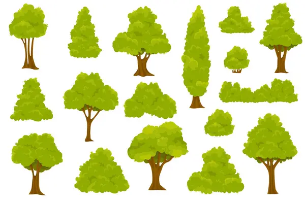 Bahçe yeşili çalılar. Bitki çalıları, çimenler ve ağaçlar. Orman ve doğa kavramı. Vektör çizgi film biçimi illüstrasyonu