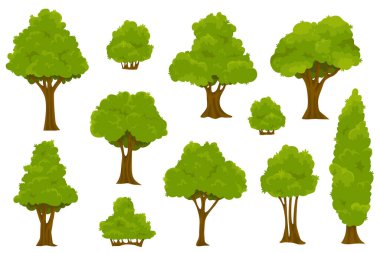 Bahçe yeşili çalılar. Bitki çalıları, çimenler ve ağaçlar. Orman ve doğa kavramı. Vektör çizgi film biçimi illüstrasyonu