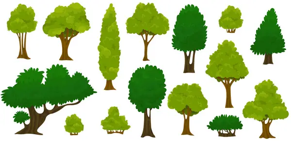 Bahçe yeşili çalılar. Bitki çalıları, çimenler ve ağaçlar. Orman ve doğa kavramı. Vektör çizgi film biçimi illüstrasyonu