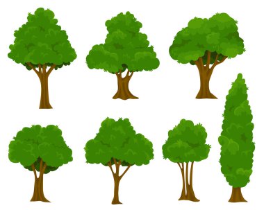 Şirin yeşil bitkiler, orman. Bir grup bitki ağacı. Orman ve doğa kavramı. Vektör çizgi film biçimi illüstrasyonu