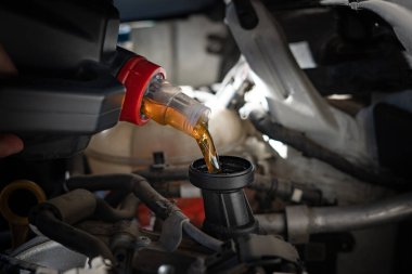 Motor yağı motora doluyor. Yüksek kalite fotoğraf
