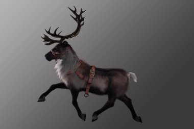 Reindeer trotting on grey background clipart