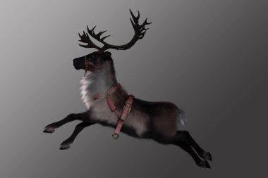 Flying reindeer isolated on a grey background. clipart