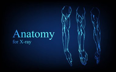 Röntgen görüntüsünde insan anatomisi. İnsan anatomisi vücut bağlantısı, tıp, eğitim ya da bilim afişi fütüristik mavi arka plan, vektör el çizimi illüstrasyon