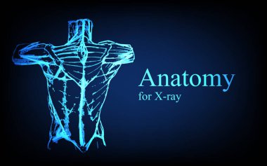 Röntgen görüntüsünde insan anatomisi. İnsan anatomisi vücut bağlantısı, tıp, eğitim ya da bilim afişi fütüristik mavi arka plan, vektör el çizimi illüstrasyon