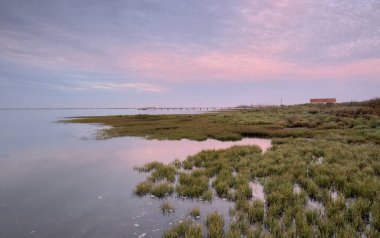 Ahşap bir köprüsü ve arka planda küçük bir evi olan göl manzarası.