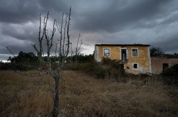 Casa Abandonada Com Galhos Secos — Fotografia de Stock