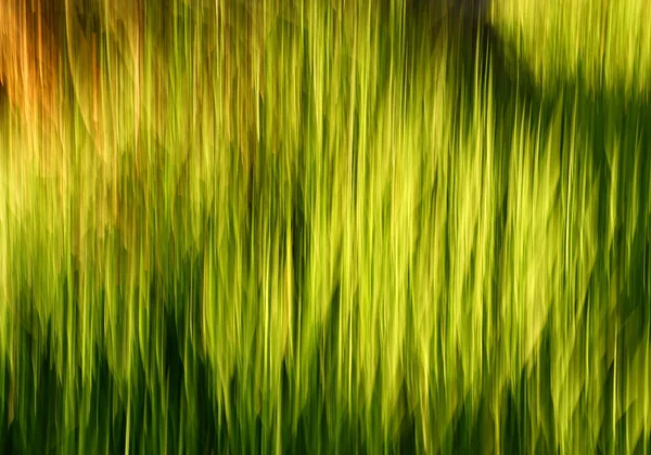 Abstrakte Grüne Und Schwarze Farben Hintergrund — Stockfoto