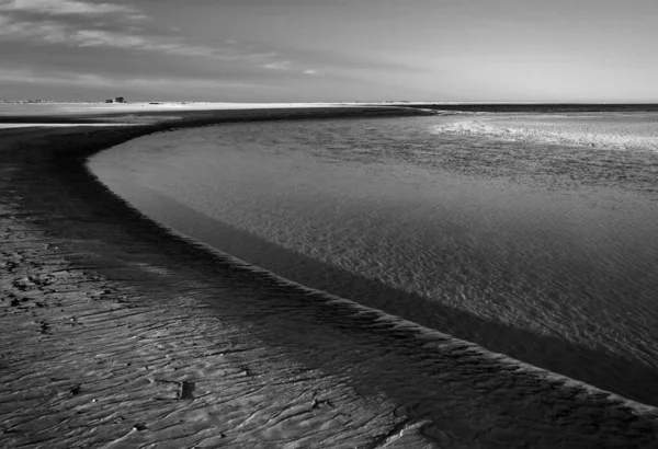 Foto Bianco Nero Una Spiaggia — Foto Stock
