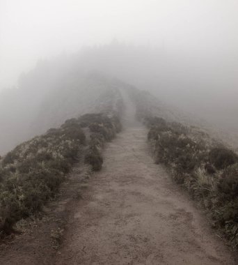 Sisli dağlarda yol, Karpatlar, Ukrayna