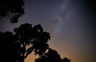 Yıldızlı ve samanyolu gece gökyüzü