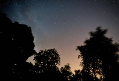 Yıldızlar ve ağaçlarla dolu gece göğü