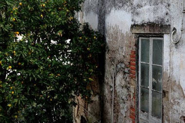 Evin eski penceresi.