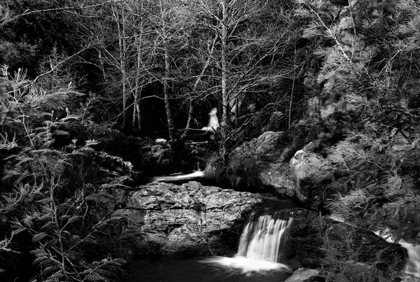 Cachoeira Preto Branco — Fotografia de Stock