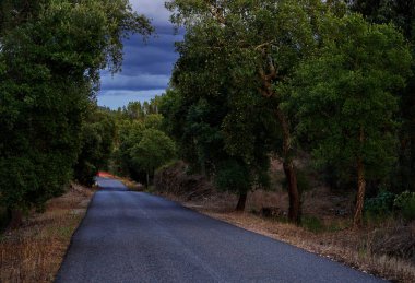 Yolun sonu, Sardoal, Abrantes, Portekiz