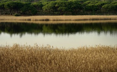Üç plan, Albufeira lagünü, Sesimbra, Portekiz