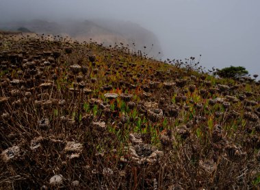 Portekiz 'in Sintra kentindeki tarlalarda sonbahar bulutları.