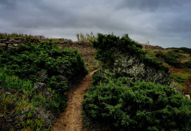 Doğa Karşılaşması, Sintra Sahili, Portekiz