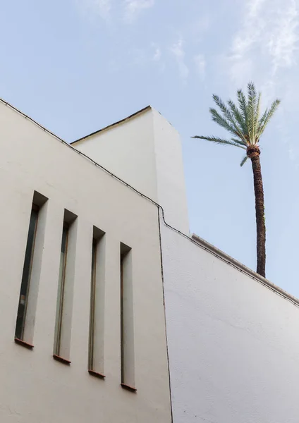 Spanya Seville Palmiye Ağacı Olan Beyaz Bir Binanın Resmi — Stok fotoğraf
