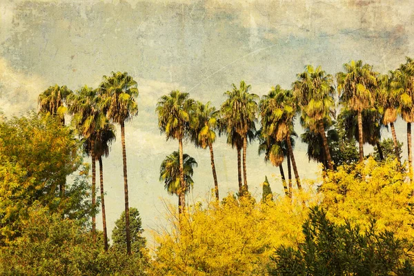 一排棕榈树的图片 用老式风格的纹理修改 — 图库照片