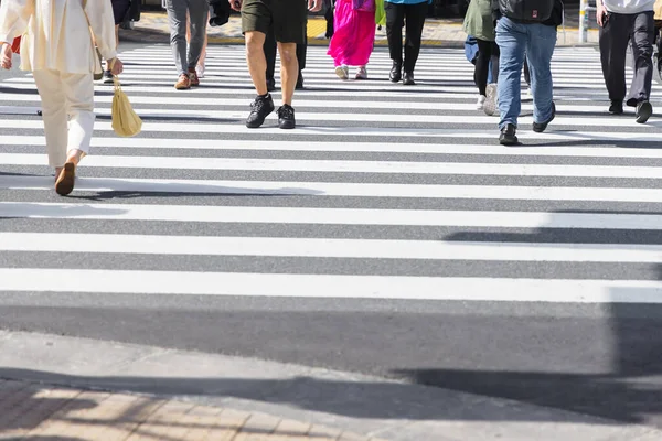 Picture Crowd People Crossing City Street Zebra Crossing — Stock Photo, Image