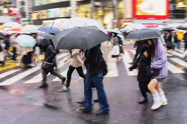 雨の日に東京の渋谷交差点を横断する傘を持った人たちの動きの中の写真 — ストック写真