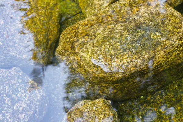 Bir Göletin Yüzeyinin Altındaki Kayaların Resmi — Stok fotoğraf