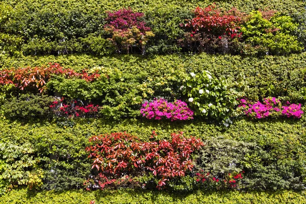 picture of a vertical planted wall  with flowering plants