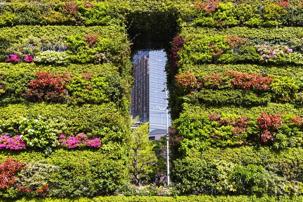 picture of a vertical planted wall with a view of skyscrapers in Tokyo, Japan