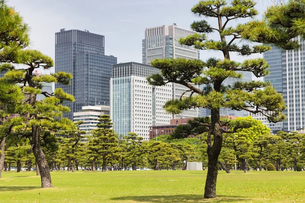 皇居外苑 こうきょうがいえん 東京都千代田区の高層ビル群を背景にした日本庭園 — ストック写真