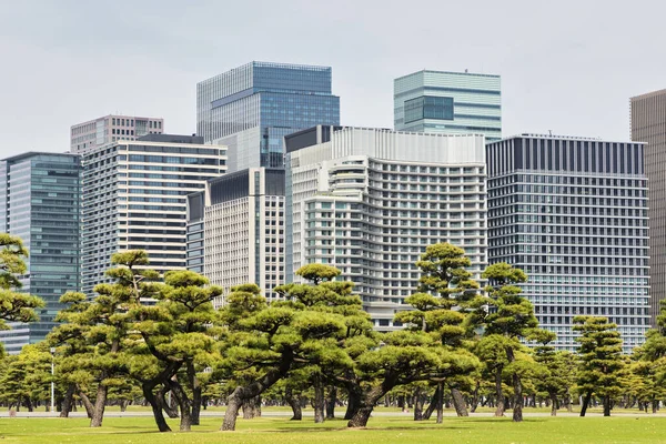 皇居外苑 こうきょうがいえん 東京都千代田区の高層ビル群を背景にした日本庭園 — ストック写真