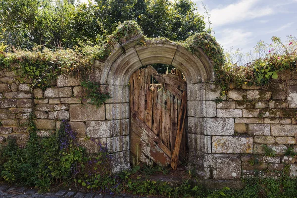 picture of a ruin wall with an old, rotten wooden door, overgrown with plants