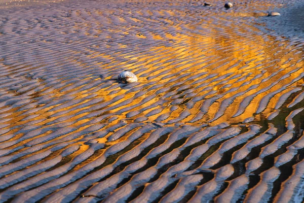 Strukturen Watt Mit Glühenden Wasserreflexen Der Abendsonne — Stockfoto