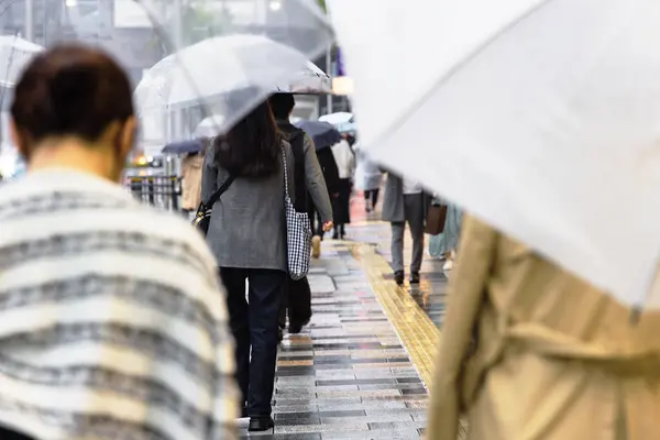 While Raining People Rain Umbrellas Walking Trowalk Japan — стоковое фото