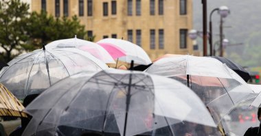 Yağmurlu bir günde şehirdeki bir grup insanın şemsiye manzarası