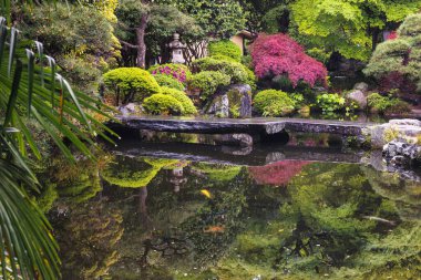 Japonya, Ashikaga 'da göletli geleneksel bir Japon parkının resmi.
