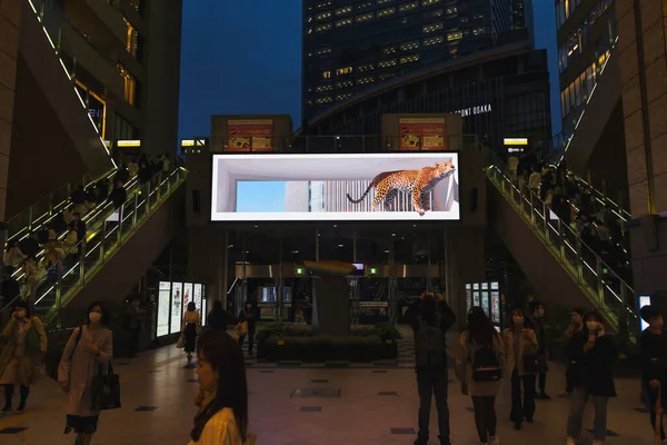 Osaka Japan April 2023 Videowand Osaka Station Met Realistische Voorstelling — Stockfoto