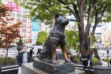 Tokyo, Japonya - 11 Nisan 2023: Hachiko bronz heykeli Shibuya İstasyonu 'nda, kimliği belirsiz insanlarla birlikte. Hachiko, sahibine olan sadakatiyle hatırlanan bir Japon Akita köpeğiydi.