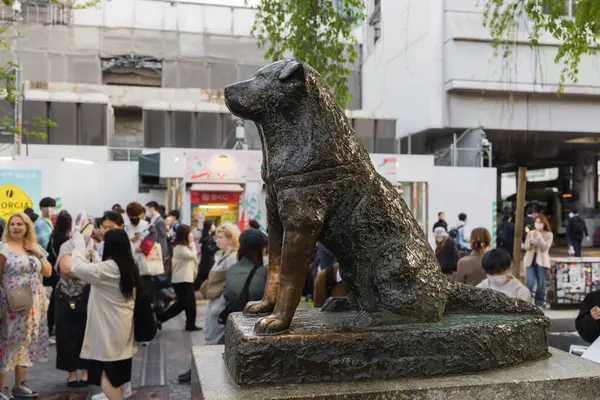 Tokyo Japan April 2023 Hachiko Bronze Statue Shibuya Station Unidentified — Stock Photo, Image