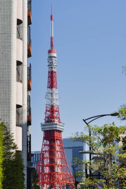 Tokyo, Japonya - 09 Nisan 2023: Tokyo Kulesi ile Minato 'da sokak manzarası. Japonya 'nın en yüksek ikinci ve Tokyo' nun en önemli binalarından biri olan iletişim ve gözlem kulesidir.