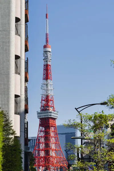 Токио Япония Апреля 2023 Года Вид Токийской Башни Минато Башня — стоковое фото