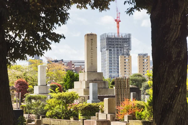 Tokio Japan April 2023 Blick Über Den Aoyama Friedhof War — Stockfoto
