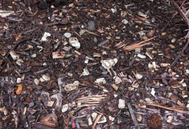 Yüzen atık küresel bir çevre yaratır, kirlilik zehirlidir..