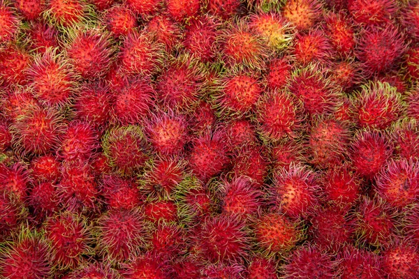 Czerwone Owoce Rambutanu Tle Rambutant Jest Owłosiona Skóra Pokrywa Słodki — Zdjęcie stockowe