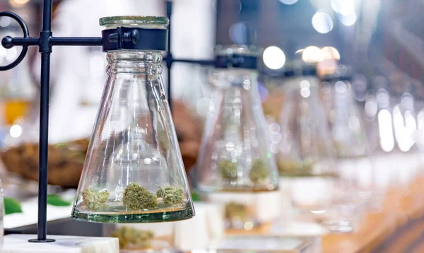 Yema Cannabis Seco Tubo Laboratorio Ciencia Investigación Medicina Alternativa Para — Foto de Stock