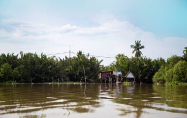 Thailand 'ın kırsalında palmiye ağaçları ile nehir kıyısında yüzen ev.