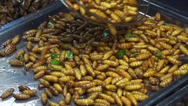 Yavaş Kızarmış Larva Solucanı Sokak Yemeği — Stok video