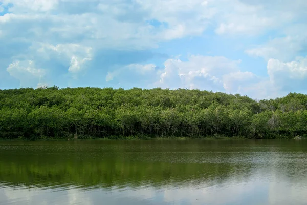 森林下边的湖面 以天空为背景 — 图库照片