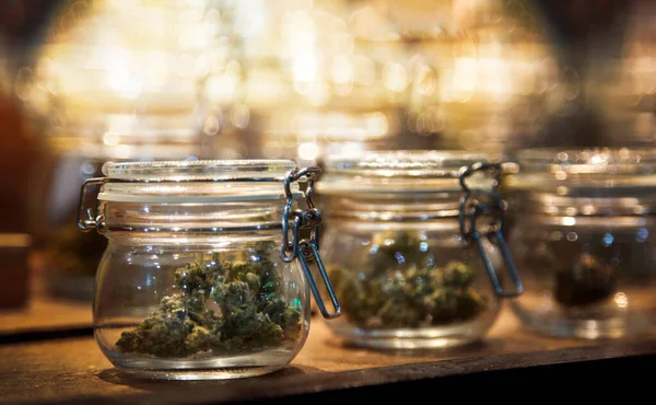 Marijuana Cannabis Knopp Cannabi Rökbar För Alternativ Rökare Underhållning Drog — Stockfoto